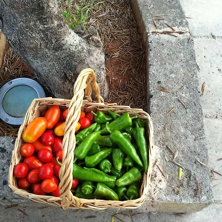 Tenuta De Marco Hotel Presicce